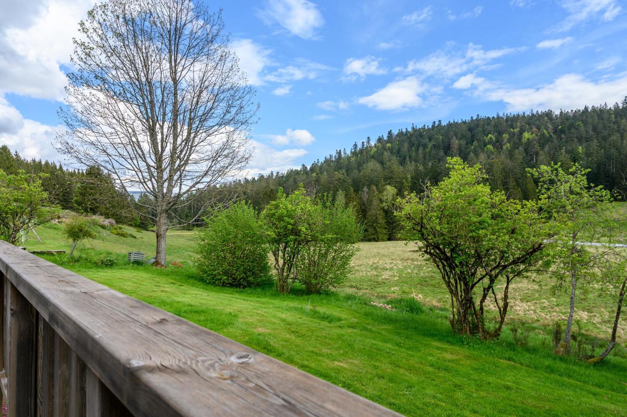 Gite La Ramee Ban-sur-Meurthe-Clefcy Exterior foto